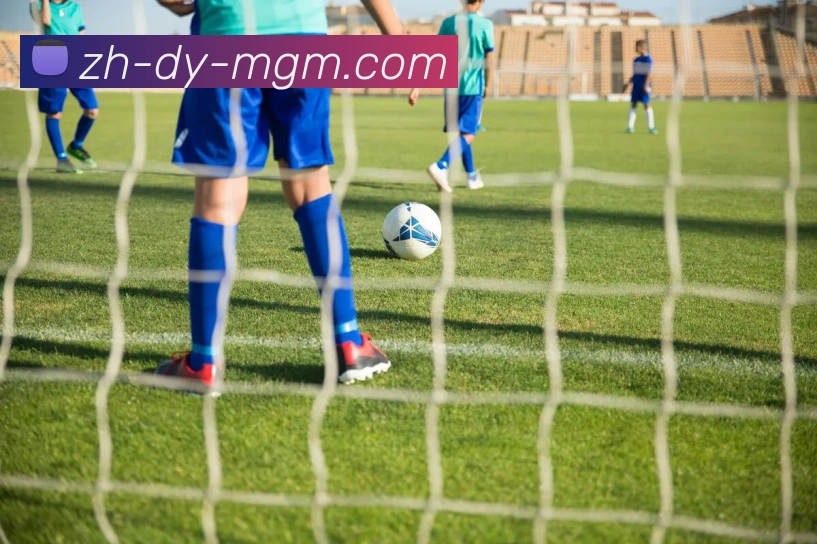 美高梅官网APP 体育赛事宣传图